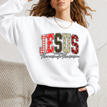 Jesus the reason Unisex Tshirt / Hoodie / Sweatshirt