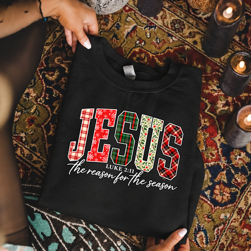 Jesus the reason Unisex Tshirt / Hoodie / Sweatshirt