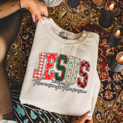 Jesus the reason Unisex Tshirt / Hoodie / Sweatshirt