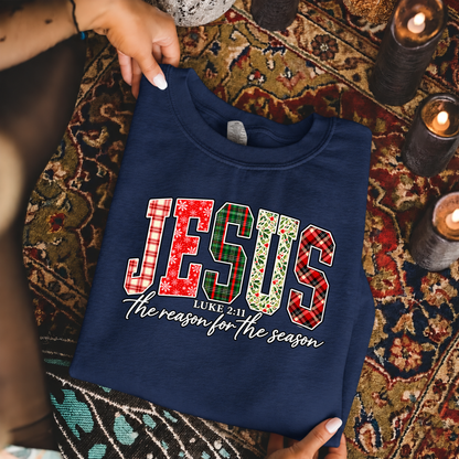 Jesus the reason Unisex Tshirt / Hoodie / Sweatshirt